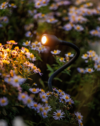 Lightpro