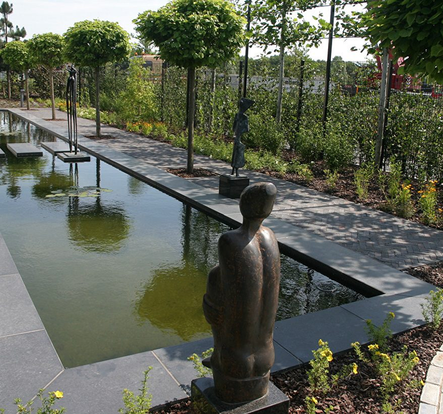 Welk waterprobleem herken je in jouw tuin?